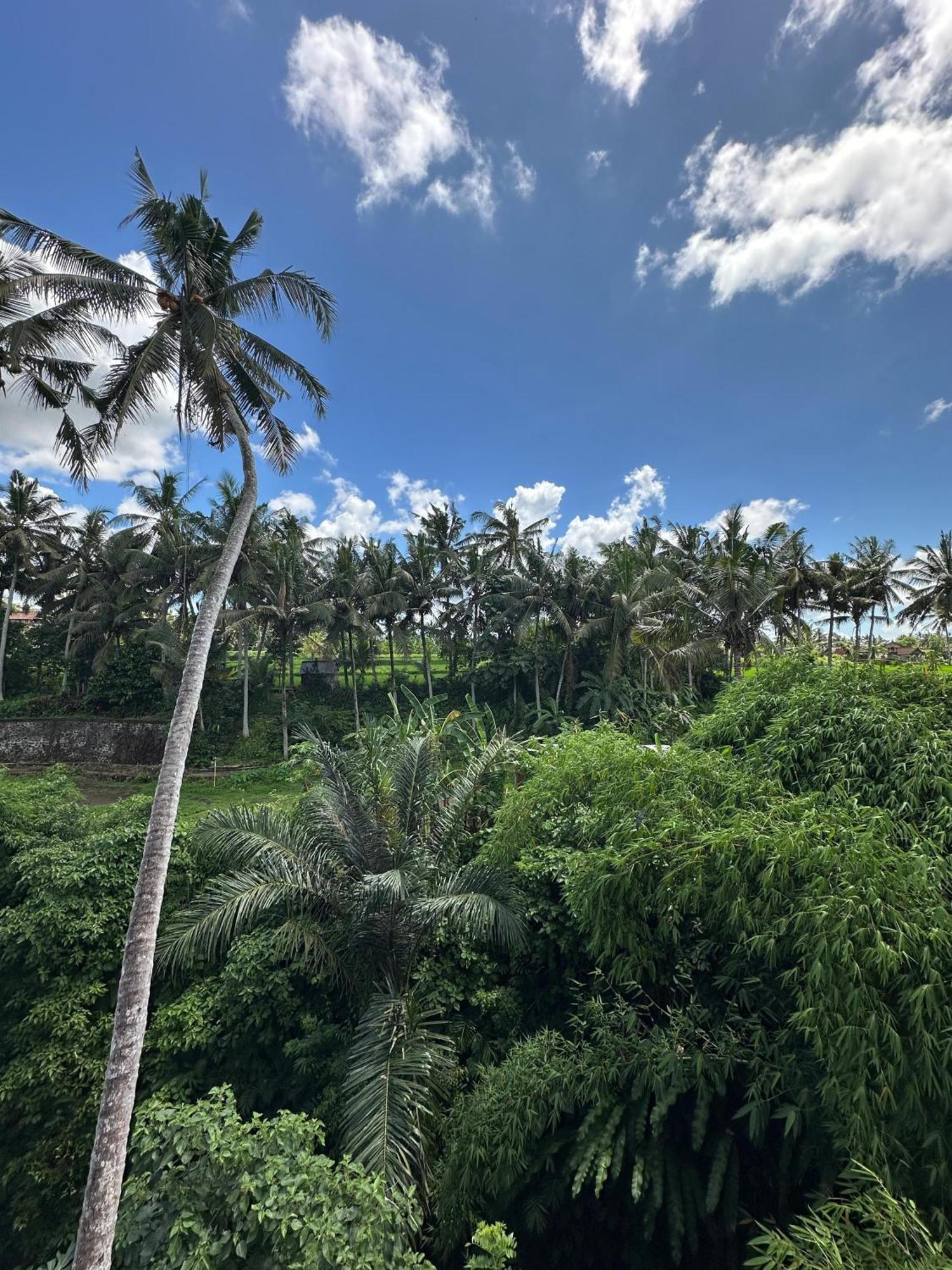 Tagel Karsa House Hotel Ubud  Ngoại thất bức ảnh