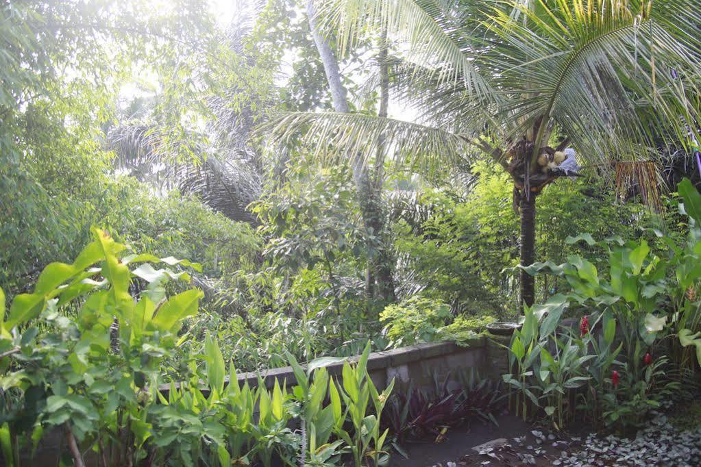 Tagel Karsa House Hotel Ubud  Ngoại thất bức ảnh